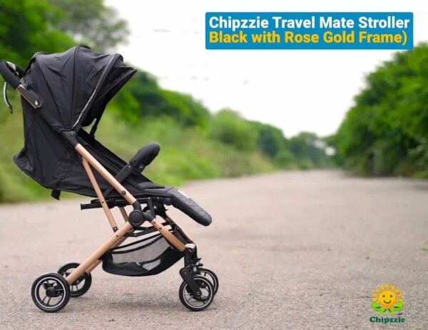 Travel Mate Strollers (Lightweight Cabin Strollers)