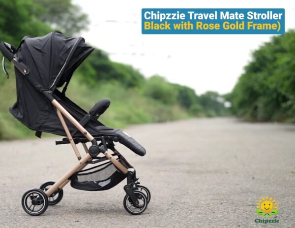 Travel Mate Strollers (Lightweight Cabin Strollers)