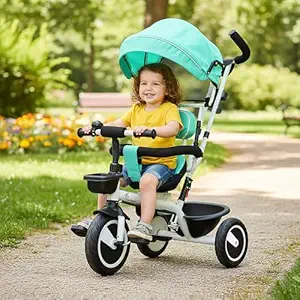 Tricycles with Canopy