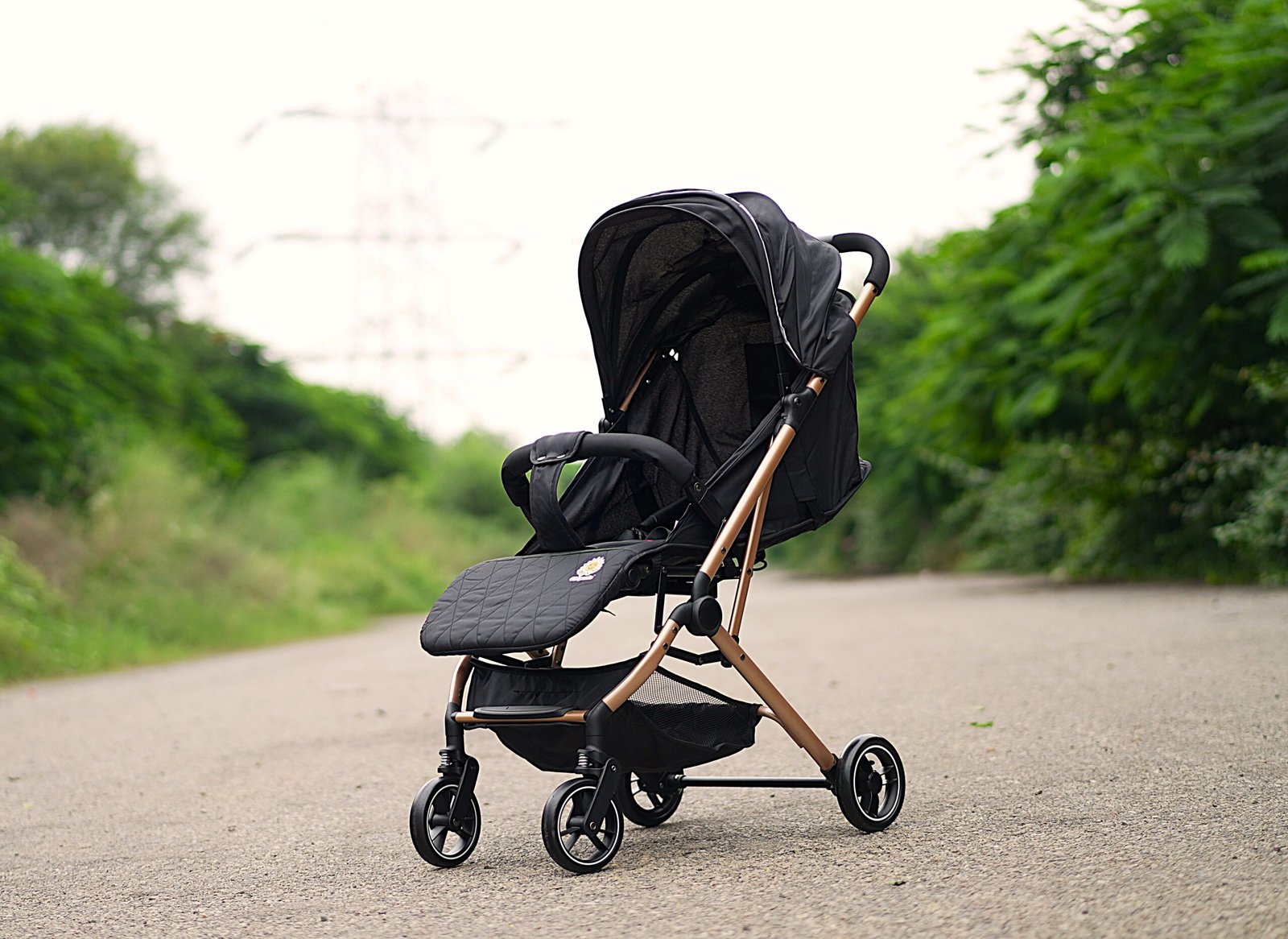 Travel Mate Strollers (Lightweight Cabin Strollers)