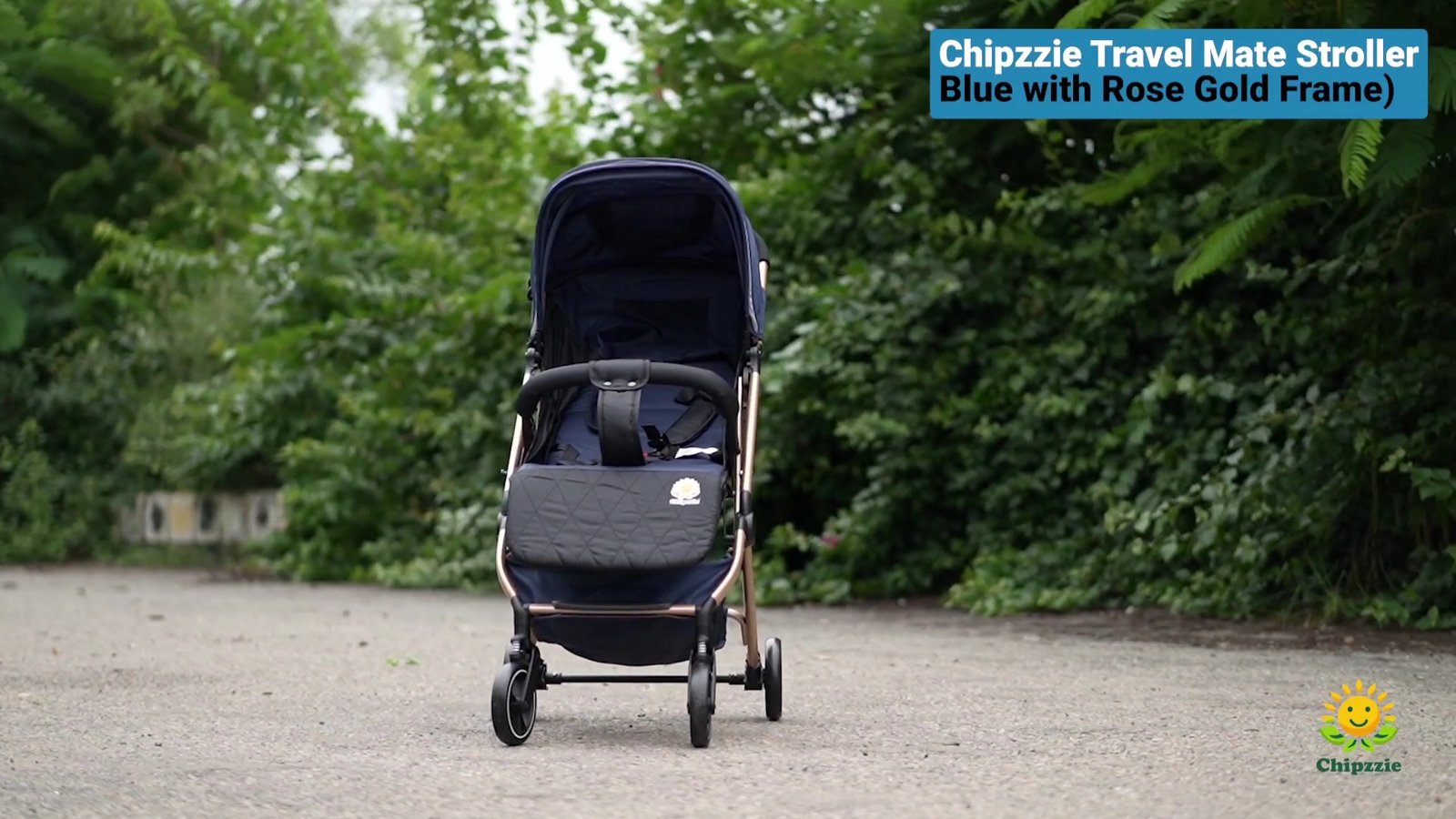 Travel Mate Strollers (Lightweight Cabin Strollers)