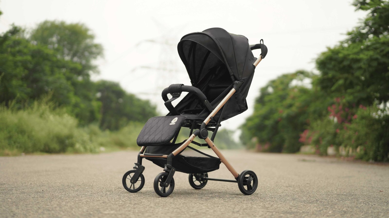 Travel Mate Strollers (Lightweight Cabin Strollers)